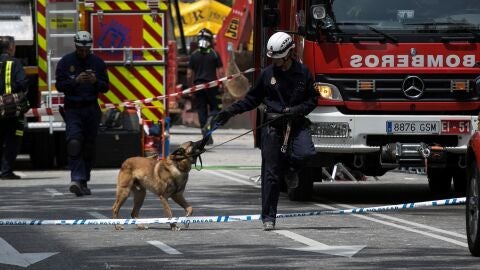 Los Bomberos del Ayuntamiento de Madrid trabajan en dos zonas marcadas por perros