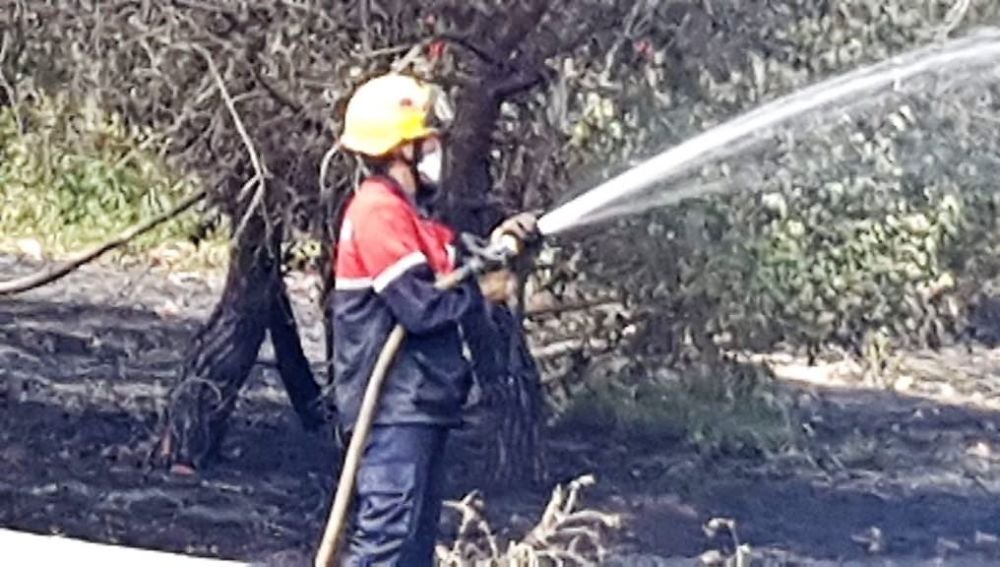 Un bombero en las tareas de extinción forestal en Santa Pola
