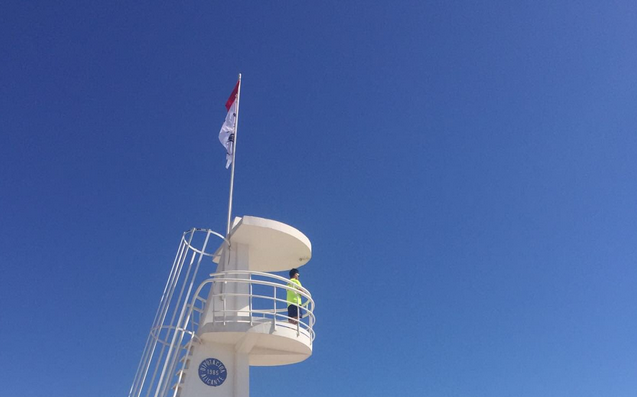 La Carabela Portuguesa se aleja de las costas de Elche pero la bandera amarilla mantiene la alerta por medusas en todo el litoral La Carabela Portuguesa se aleja de las costas de Elche pero la bandera amarilla mantiene la alerta por medusas en todo el litoral