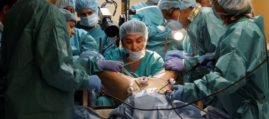 Médicos y cirujanos de varios países ensayan en Alicante las últimas técnicas en dolencias relacionadas con el suelo pélvico Médicos y cirujanos de varios países ensayan en Alicante las últimas técnicas en dolencias relacionadas con el suelo pélvico