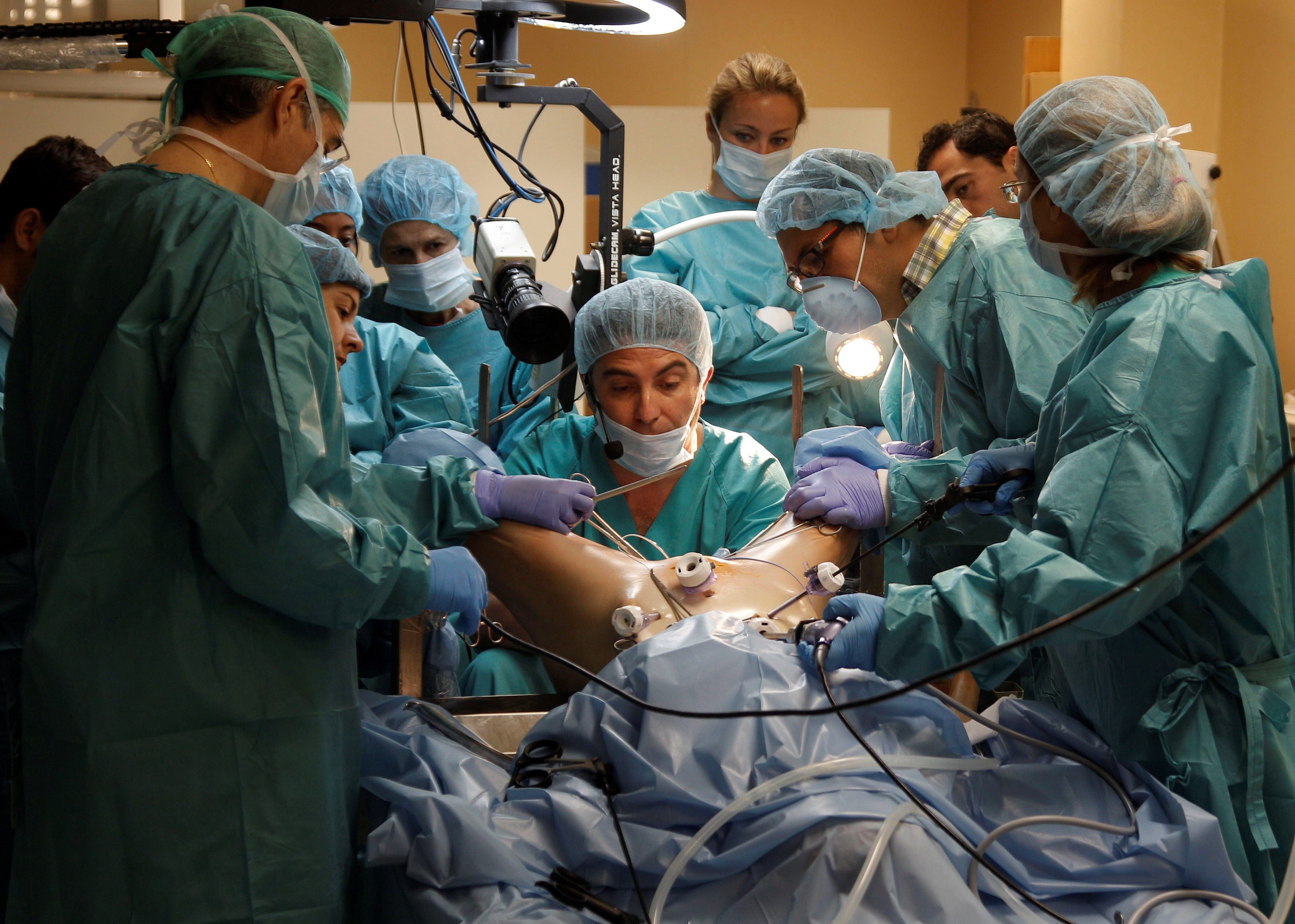 Médicos y cirujanos ensayan en Alicante con cadáveres preparados para que parezcan "casi vivos" Médicos y cirujanos ensayan en Alicante con cadáveres preparados para que parezcan "casi vivos"