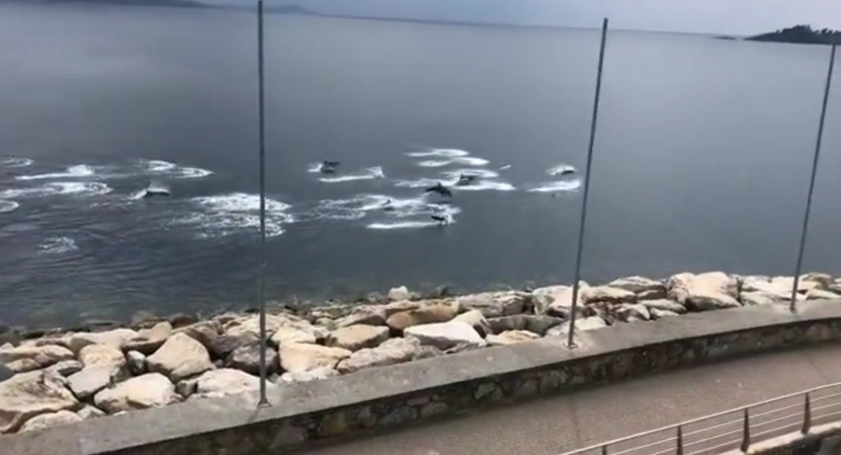 7 concellos en nivel máximo e 29 no alto, entre eles 3 cidades 7 concellos en nivel máximo e 29 no alto, entre eles 3 cidades