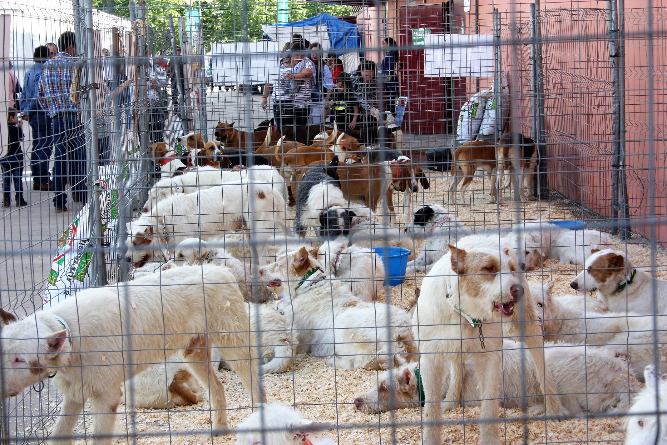 Más de Uno Granada 20/11/2023 Más de Uno Granada 20/11/2023