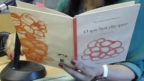 María Amelia Andrade Letras Galegas 2018