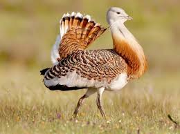 Alcalá de Henares en la onda 28/05/2018 Alcalá de Henares en la onda 28/05/2018