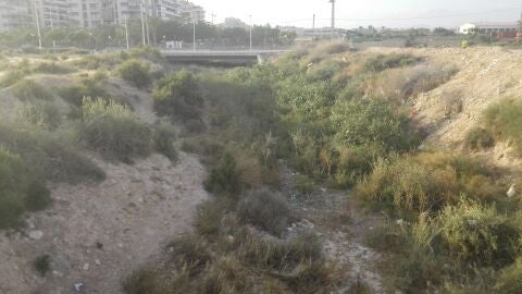 Imagen de archivo de un barranco en Elche