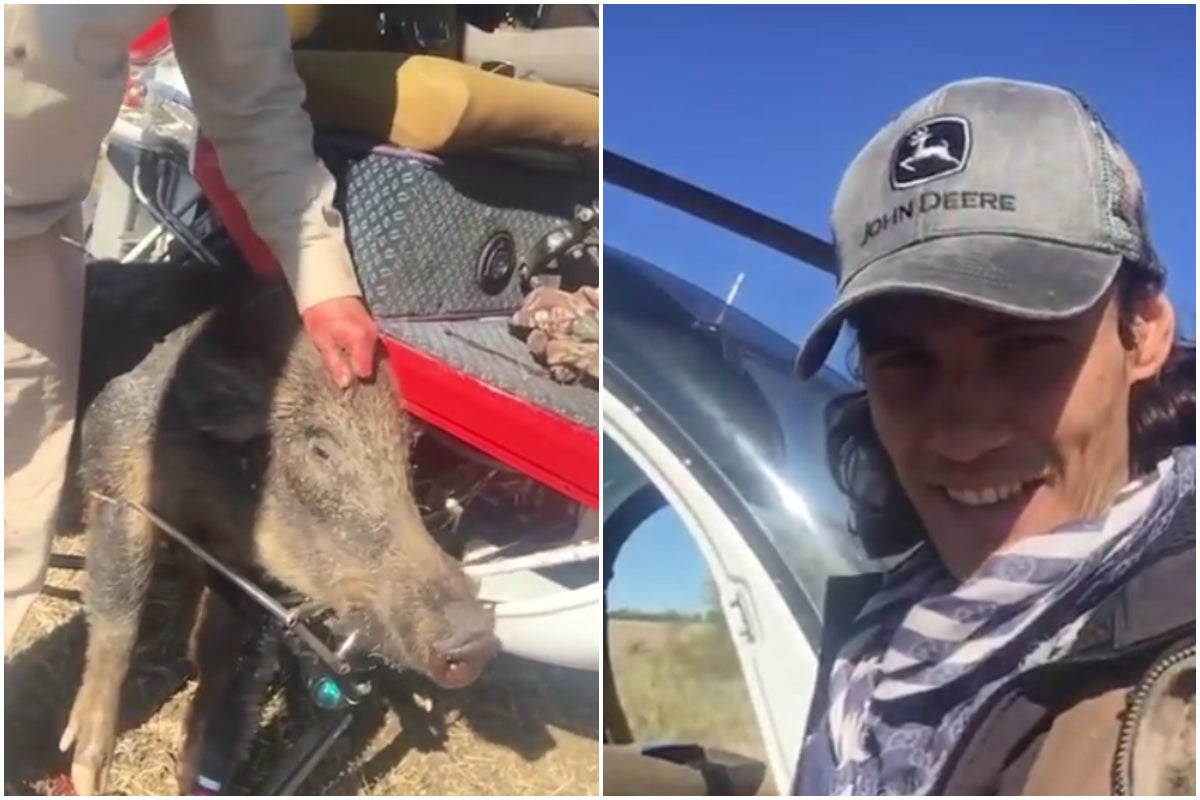 Críticas a Cavani por cazar un jabalí y enseñarlo en un vídeo Críticas a Cavani por cazar un jabalí y enseñarlo en un vídeo