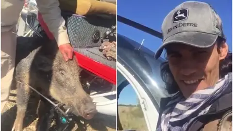 Cavani y su polémico vídeo de caza Cavani y su polémico vídeo de caza