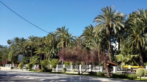 Paseo de la Estaci&oacute;n de Elche