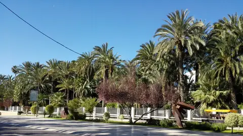 Paseo de la Estación de Elche Paseo de la Estación de Elche