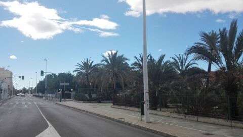 Avenida de Santa Pola de Elche