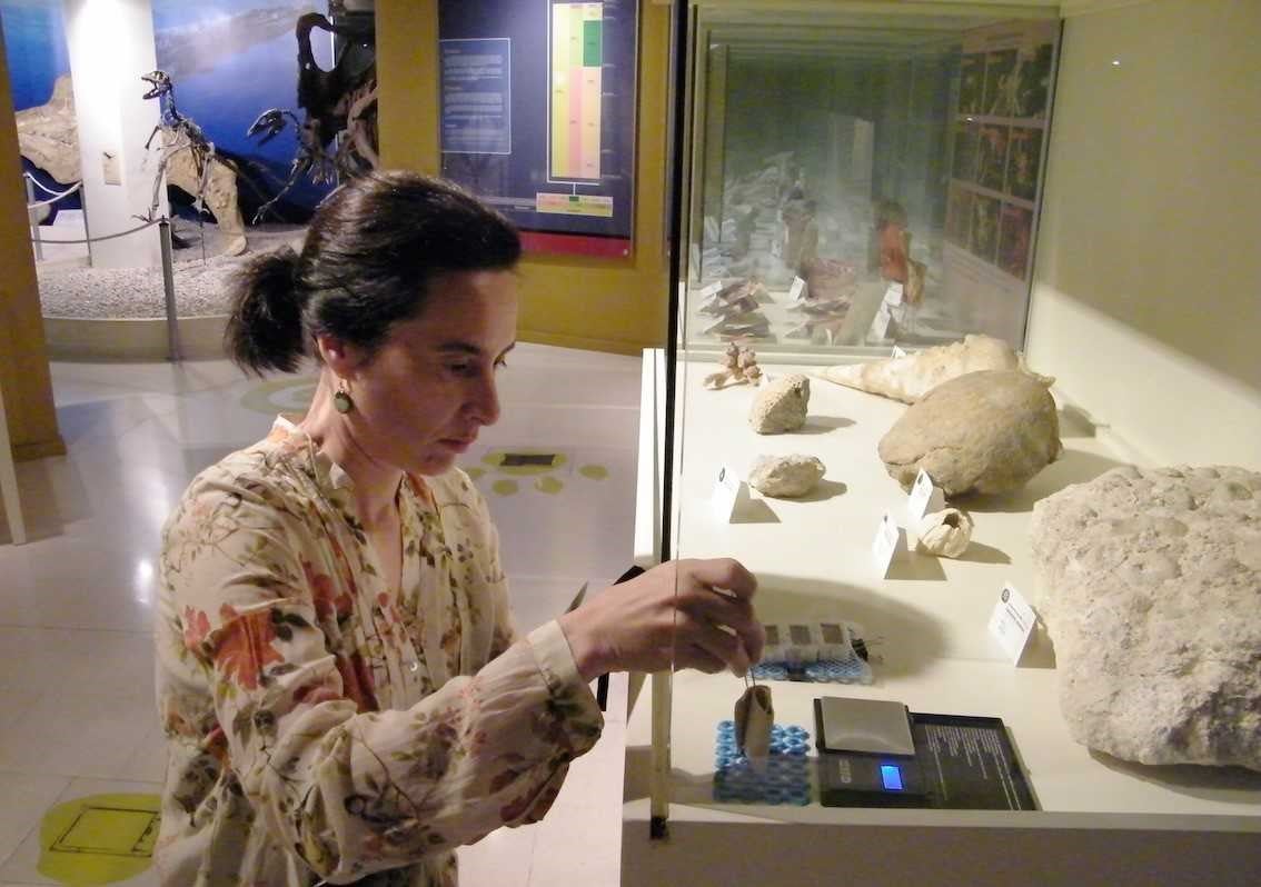 <p>El MUPE prueba un sistema de control de humedad creado a partir de colágeno </p> <p>El MUPE prueba un sistema de control de humedad creado a partir de colágeno </p>