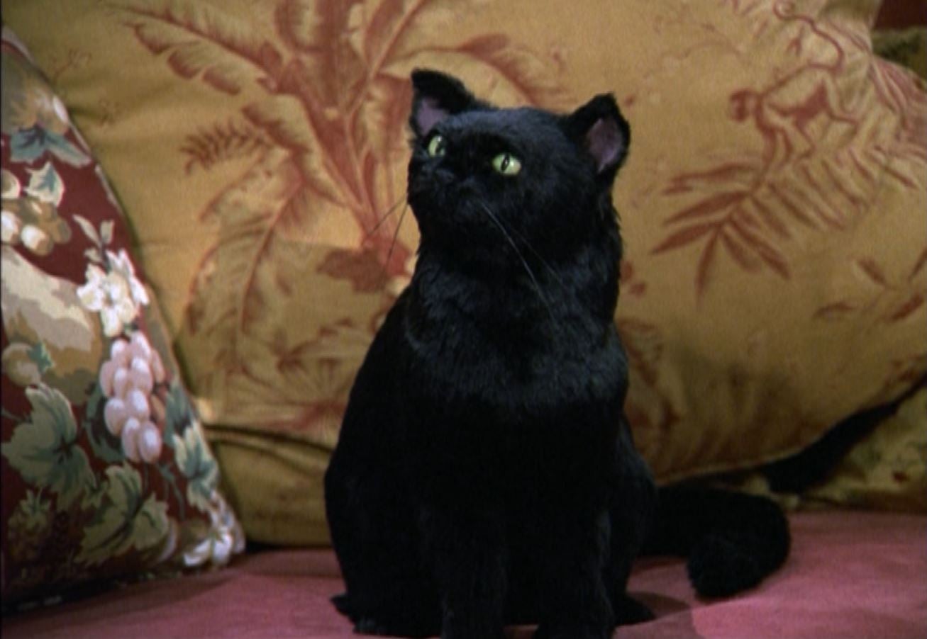 Las brujas, la magia ¿Hasta que punto son reales? Las brujas, la magia ¿Hasta que punto son reales?