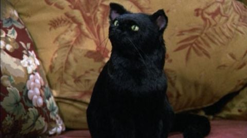 Sabrina, cosas de brujas - Temporada 7 - Capítulo 12: Confiamos en Sabrina Sabrina, cosas de brujas - Temporada 7 - Capítulo 12: Confiamos en Sabrina