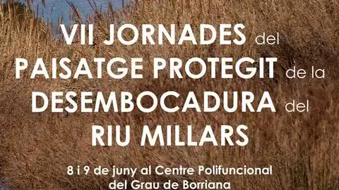 Conferencias, exposiciones y talleres en las VII Jornadas del Paisaje Protegido de la Desembocadura del Rio Mijares. CULTURA