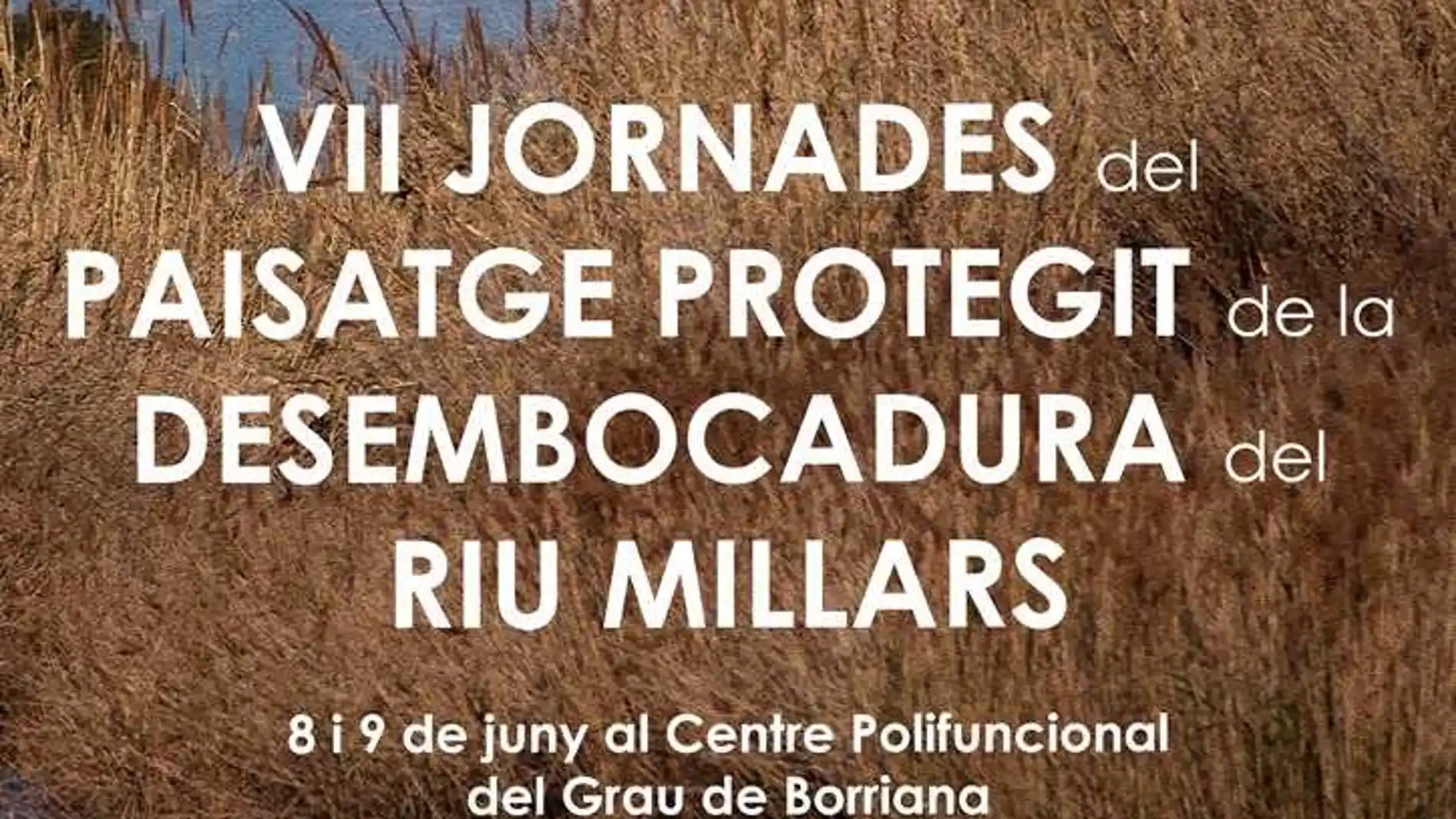 Conferencias, exposiciones y talleres en las VII Jornadas del Paisaje Protegido de la Desembocadura del Rio Mijares.