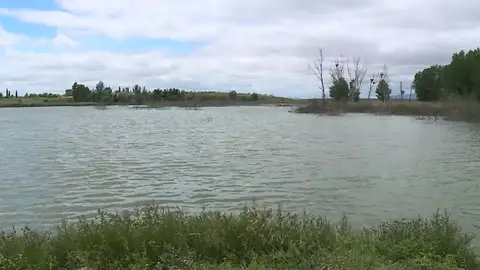 Las Tablas de Daimiel renacen gracias a las lluvias Las Tablas de Daimiel renacen gracias a las lluvias