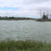 Las Tablas de Daimiel renacen gracias a las lluvias Las Tablas de Daimiel renacen gracias a las lluvias
