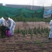 LA AUGC DENUNCIA GRANADA COMO PUNTO CALIENTE