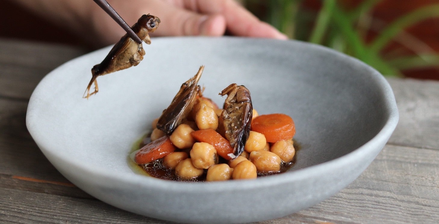 Recetas al límite: Cocina con grillos Recetas al límite: Cocina con grillos