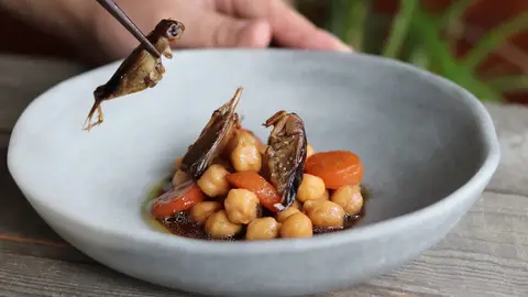 ¿Recetas gourmet con insectos? ¿Por qué no? BCN Insects te los vende.