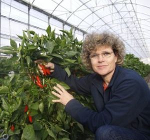 Lola Gómez, gerente y fundadora de "Clisol Agro Turismo" Lola Gómez, gerente y fundadora de "Clisol Agro Turismo"