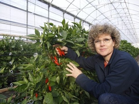 Lola Gómez, gerente y fundadora de "Clisol Agro Turismo": "Se habla muy poco de la agricultura" Lola Gómez, gerente y fundadora de "Clisol Agro Turismo": "Se habla muy poco de la agricultura"