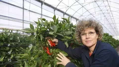 Lola Gómez, gerente y fundadora de "Clisol Agro Turismo" Lola Gómez, gerente y fundadora de "Clisol Agro Turismo"