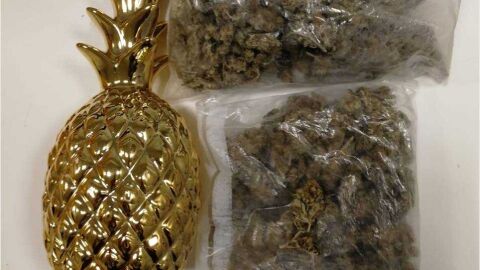 La marihuana iba en el interior de figuras de escayola con forma de pi&ntilde;a