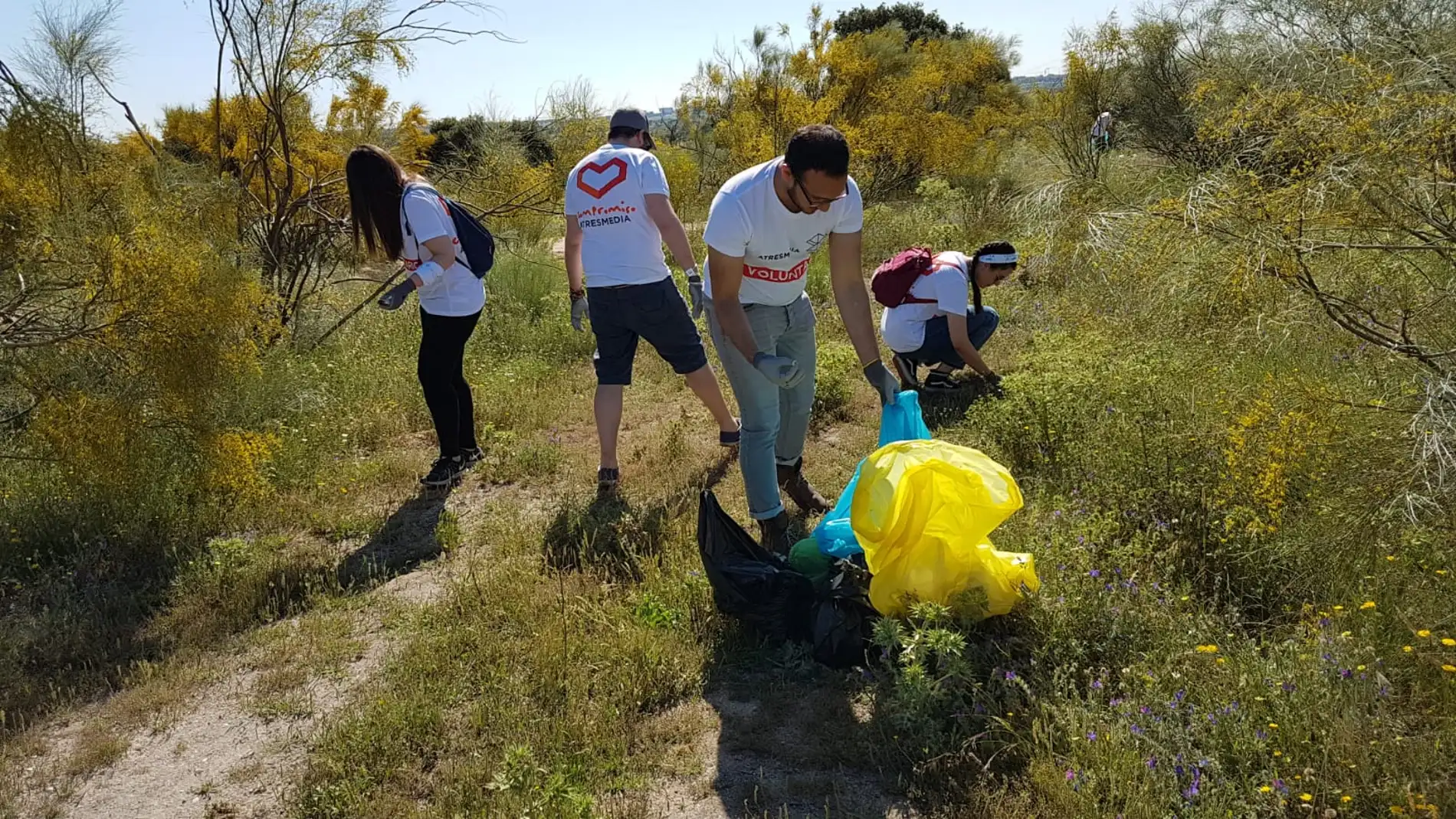 Voluntarios Atresmedia limpian de basuraleza el Monte del Pardo con el proyecto Libera