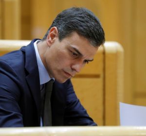 Pedro Sánchez en el Senado Pedro Sánchez en el Senado