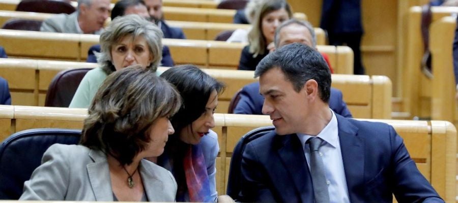 Pedro Sánchez en el Senado Pedro Sánchez en el Senado
