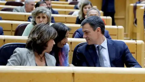 Pedro Sánchez en el Senado Pedro Sánchez en el Senado