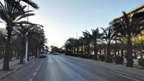 Avenida de la Universidad de Elche