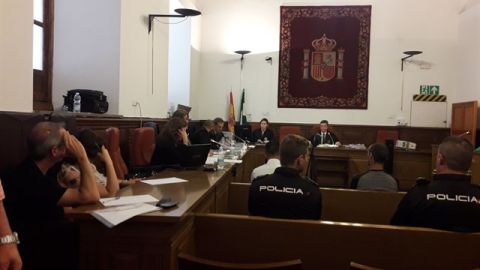 La Fiscal&iacute;a ha elevado de 16 a 23 a&ntilde;os de c&aacute;rcel para el supuesto autor