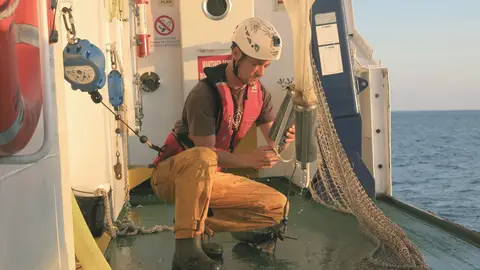 La sostenibilidad triunfa: el stock de la anchoa en el golfo de Bizkaia está en su mejor momento La sostenibilidad triunfa: el stock de la anchoa en el golfo de Bizkaia está en su mejor momento