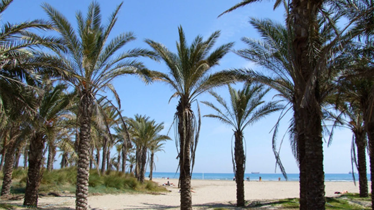 La playa del Pinar cuenta en su entorno con el Planetario, una de las ofertas más interesantes de la playa.-