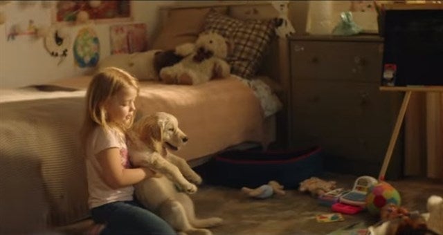 Las protectoras de animales madrileñas al rescate contra el abandono Las protectoras de animales madrileñas al rescate contra el abandono