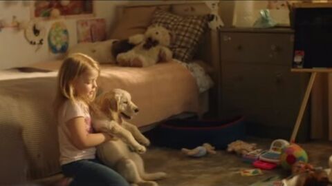 Campa&ntilde;a contra el abandono animal