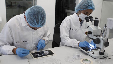 Descubren que la prueba del VPH detecta antes el c&aacute;ncer de &uacute;tero