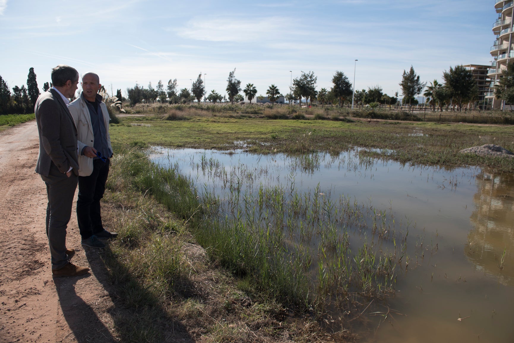 La Unió denuncia que los mosquitos dificultan las actividades agrícolas en la Plana Baixa La Unió denuncia que los mosquitos dificultan las actividades agrícolas en la Plana Baixa