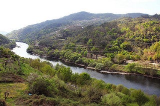 ¿Cómo se puede solucionar la degradación de los ríos? ¿Cómo se puede solucionar la degradación de los ríos?