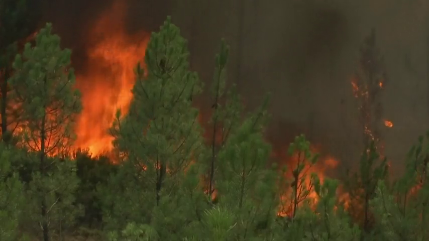 Durante la última semana se producían 10 incendios forestales en Extremadura que han afectado a 59 hectáreas Durante la última semana se producían 10 incendios forestales en Extremadura que han afectado a 59 hectáreas