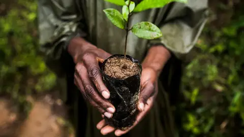 Un cuarto de la superficie del planeta esta gestionado por indigenas Un cuarto de la superficie del planeta esta gestionado por indigenas