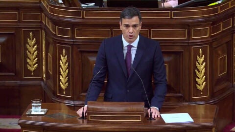 Pedro S&aacute;nchez comparece en el Congreso