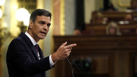 Pedro S&aacute;nchez en el Congreso