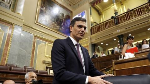 Pedro S&aacute;nchez en el Congreso