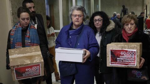 La presidenta de la asociaci&oacute;n de las v&iacute;ctimas del vuelo de Spanair, Pilar Vera.