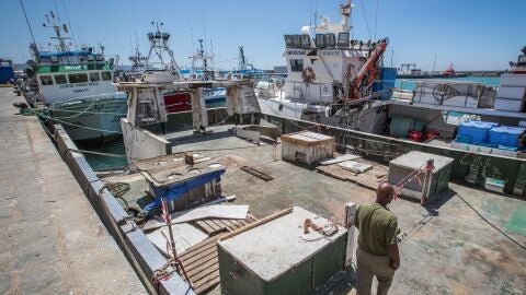 Pesqueros amarrados en el puerto de Barbate (C&aacute;diz)