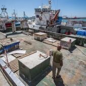 Pesqueros amarrados en el puerto de Barbate (Cádiz)